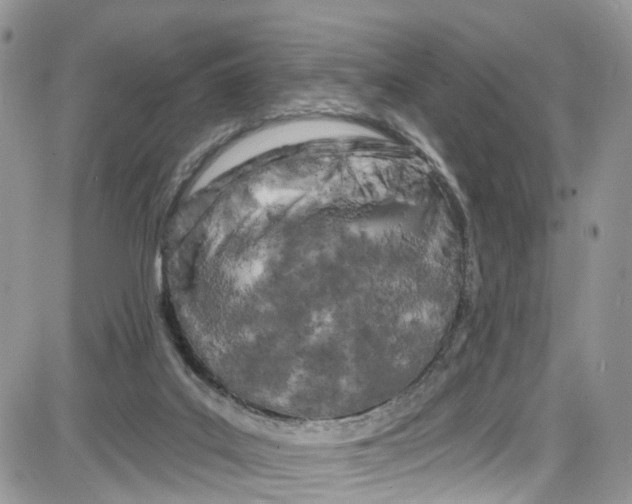 X0000087630019200705311340