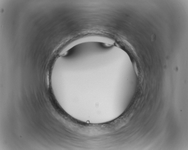 X0000087630020200705311340