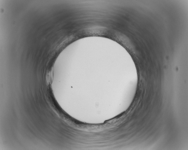 X0000087630021200705311340