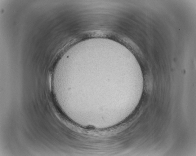 X0000087630022200705311340