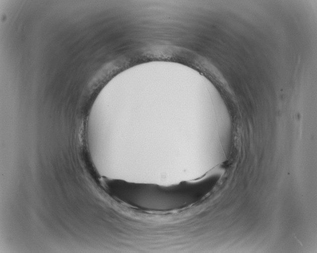 X0000087630023200705311340