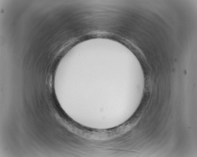 X0000087630024200705311340