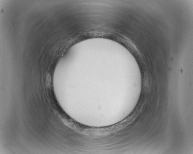 X0000087630025200705311340