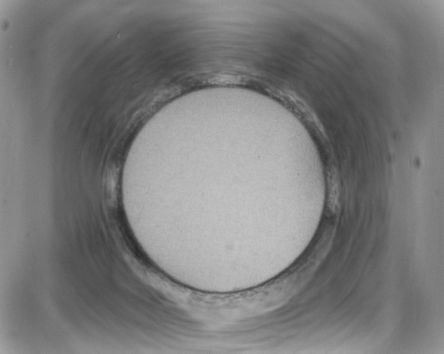 X0000087630026200705311340