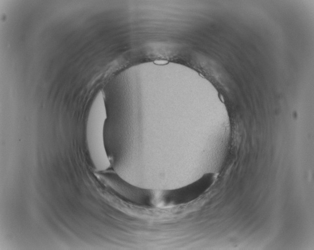 X0000087630027200705311340