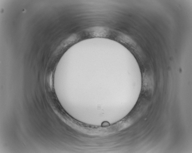 X0000087630028200705311340