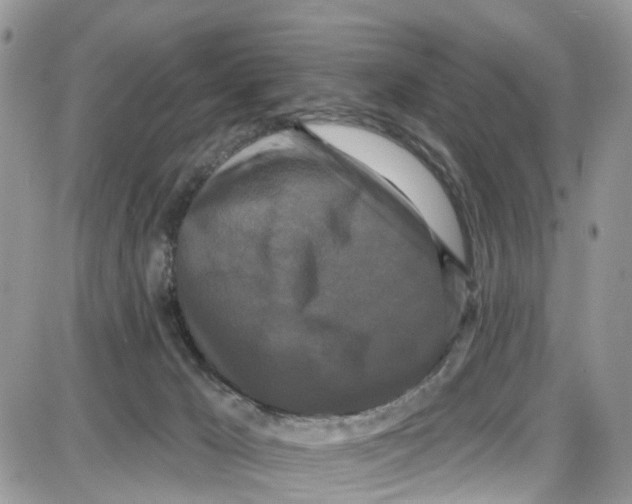 X0000087630029200705311340