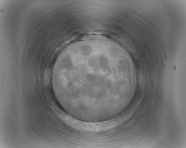 X0000087630030200705311340