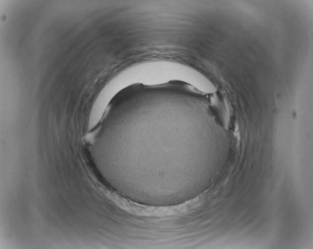 X0000087630031200705311340