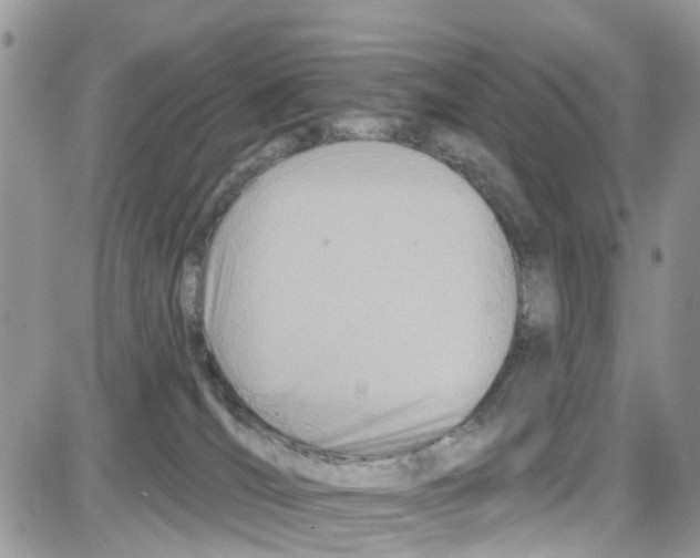 X0000087630036200705311339