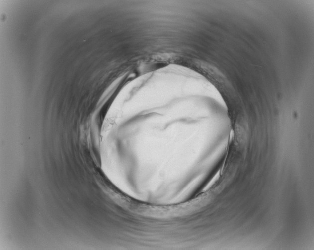 X0000087630037200705311339