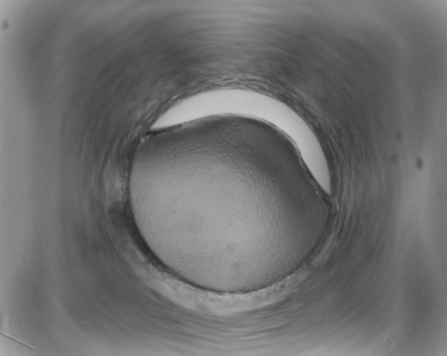 X0000087630039200705311339