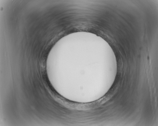 X0000087630040200705311339