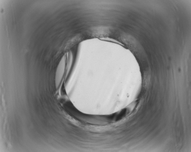 X0000087630041200705311339