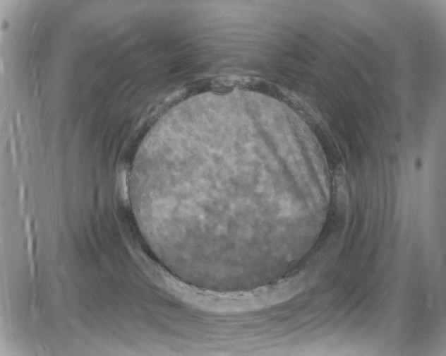 X0000087630042200705311339