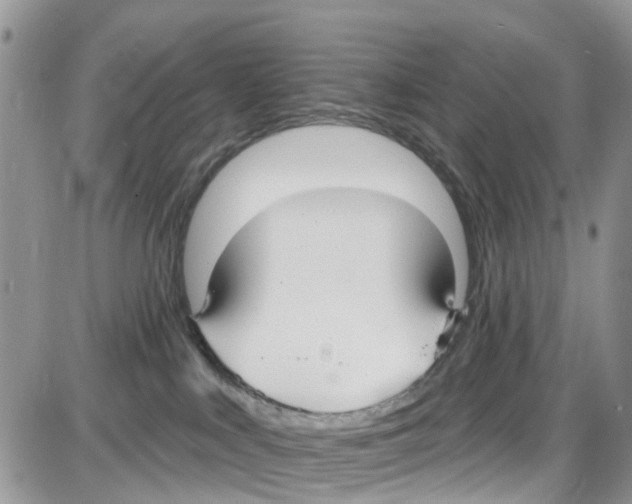 X0000087630043200705311339