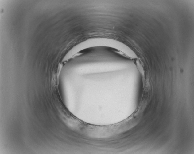 X0000087630045200705311339