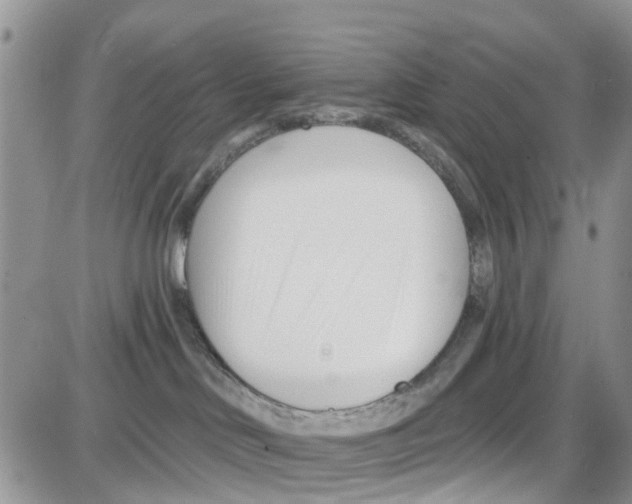 X0000087630046200705311339