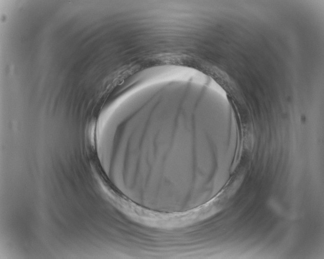 X0000087630047200705311339