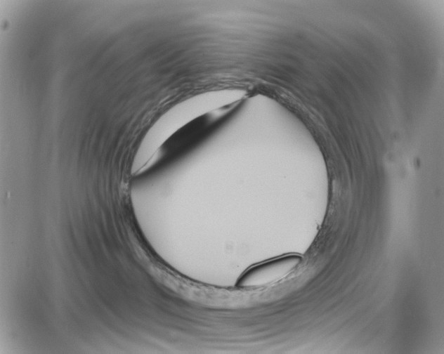 X0000087630048200705311339