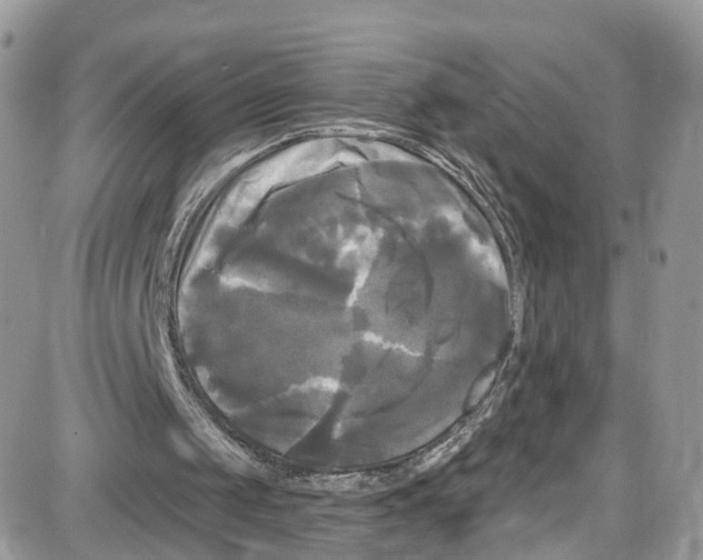 X0000087630049200705311339