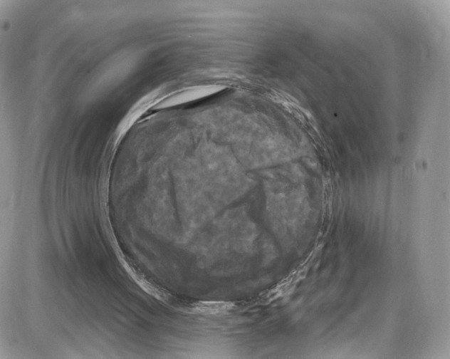 X0000087630051200705311339