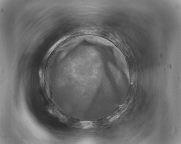 X0000087630052200705311339