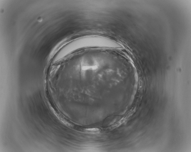 X0000087630053200705311339