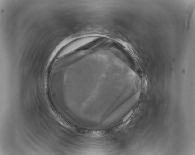 X0000087630056200705311339