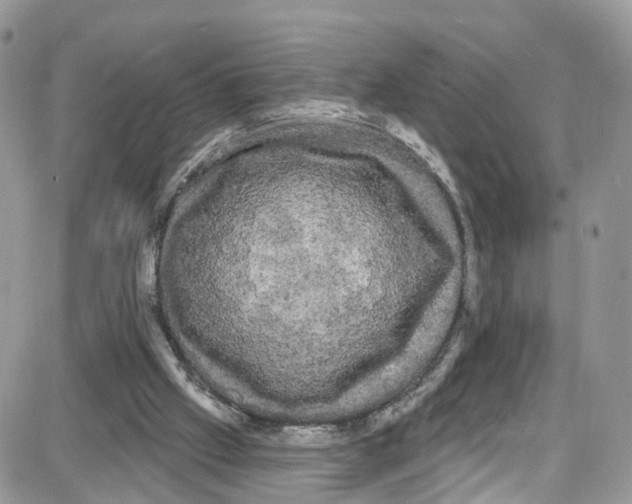 X0000087630057200705311339