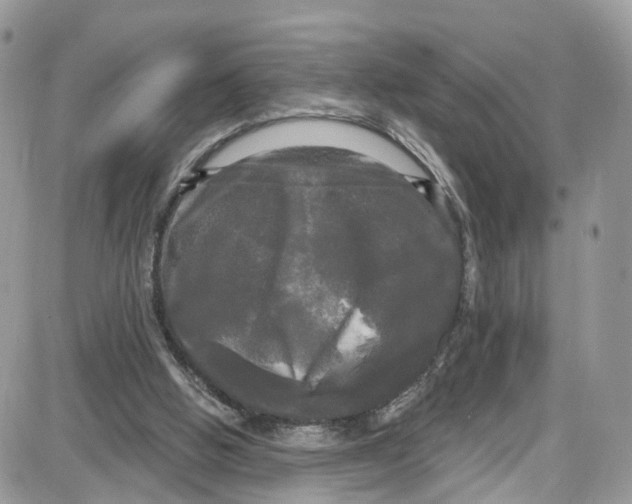 X0000087630058200705311339