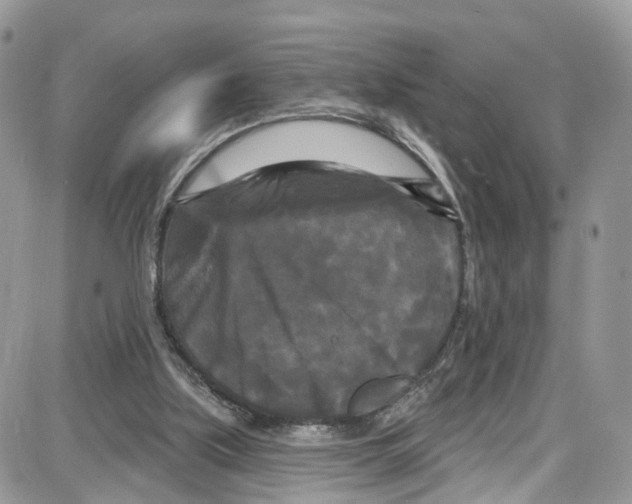 X0000087630059200705311339