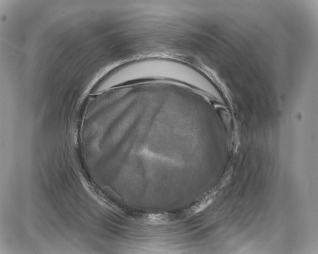 X0000087630060200705311339