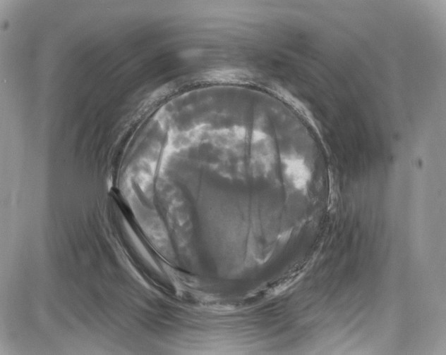 X0000087630061200705311339