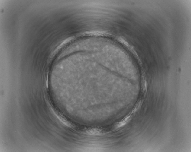 X0000087630062200705311339