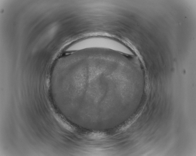 X0000087630063200705311339