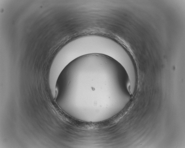 X0000087630065200705311339