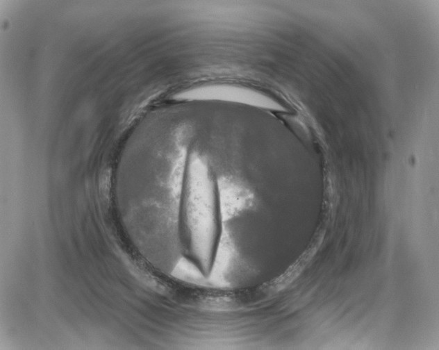 X0000087630066200705311339