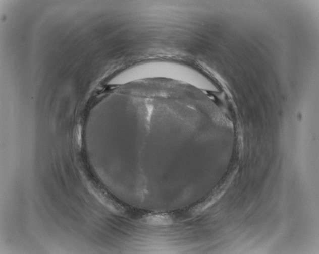 X0000087630067200705311339