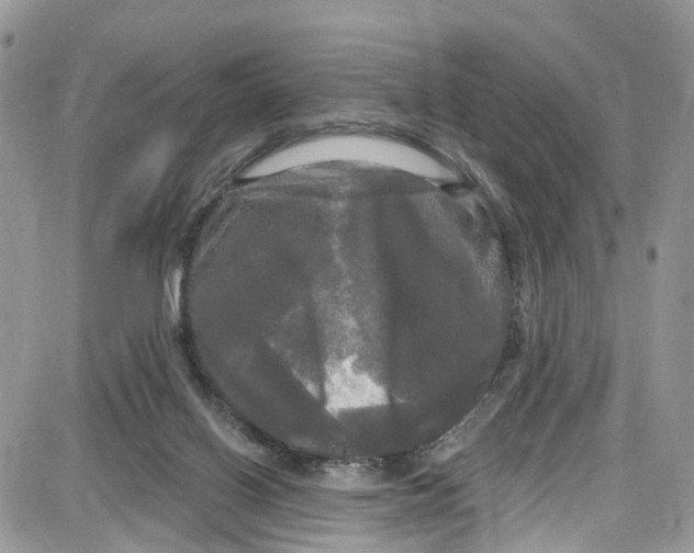 X0000087630070200705311339