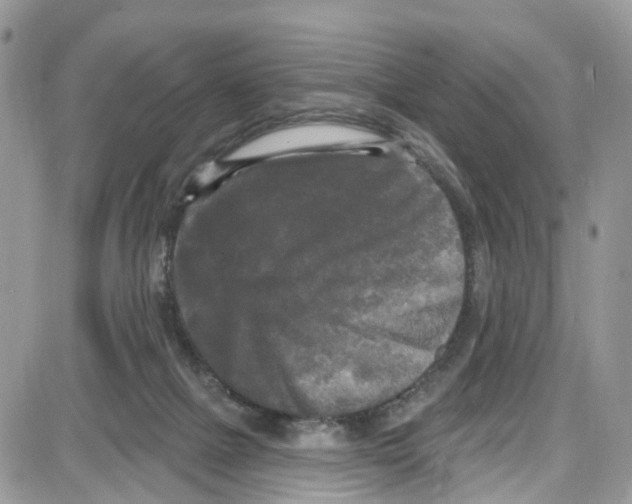 X0000087630073200705311339