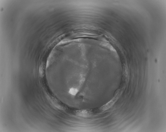 X0000087630074200705311339