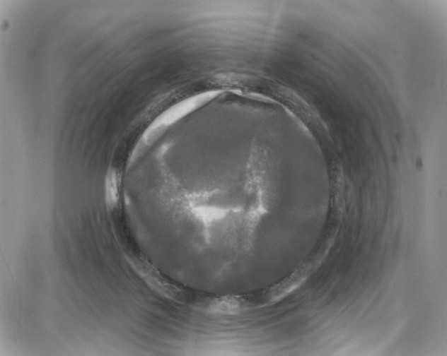 X0000087630075200705311339