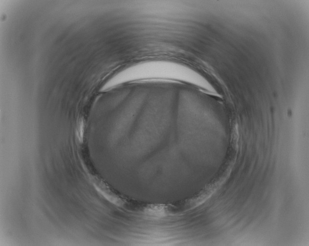 X0000087630076200705311339