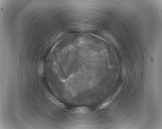 X0000087630077200705311339