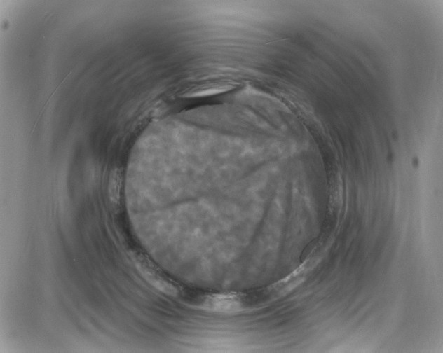 X0000087630078200705311339