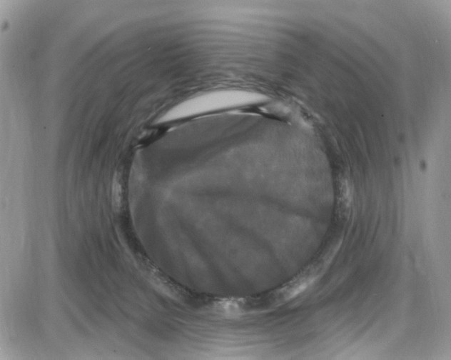 X0000087630080200705311339