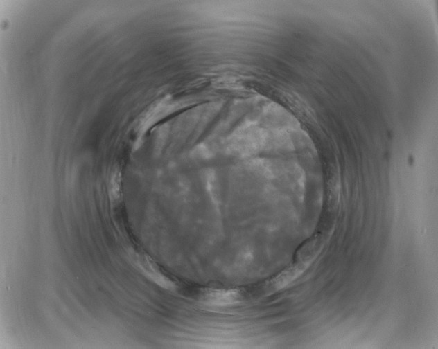 X0000087630081200705311339