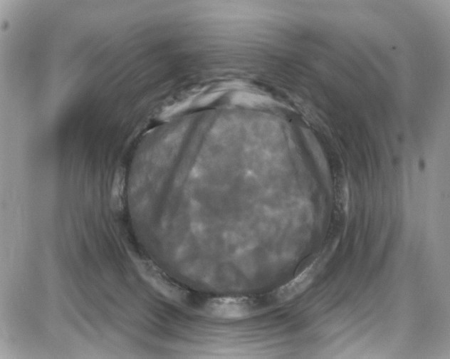 X0000087630082200705311339