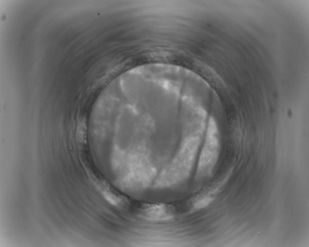 X0000087630083200705311339